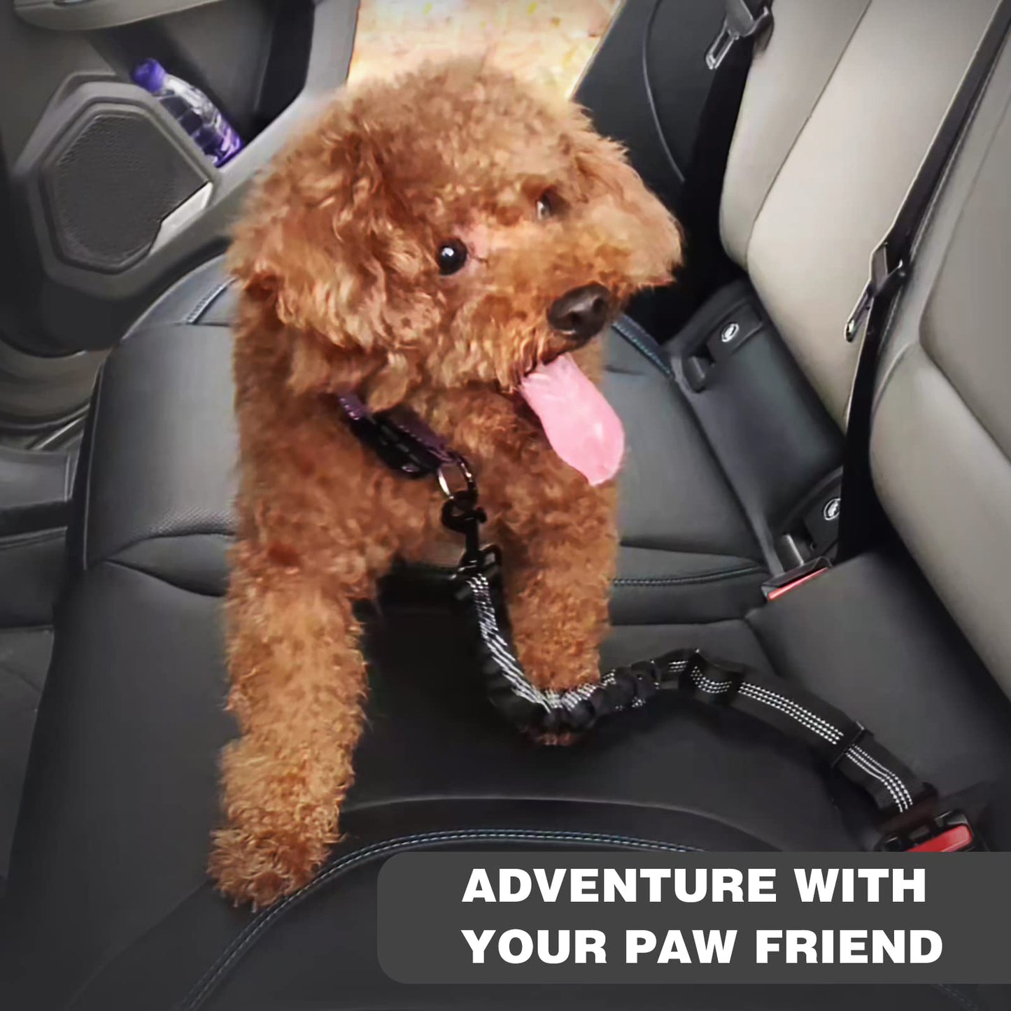 Shock absorbent Retractable Elastic Car Safety Belt For Dogs, 2 Piece Set