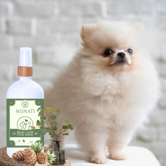 Apsauginis Purškalas nuo Blusų, Erkių ir Kitų Kenkėjų Naminiams Gyvūnams „Head-to-Paw“ Munati, 200 ml