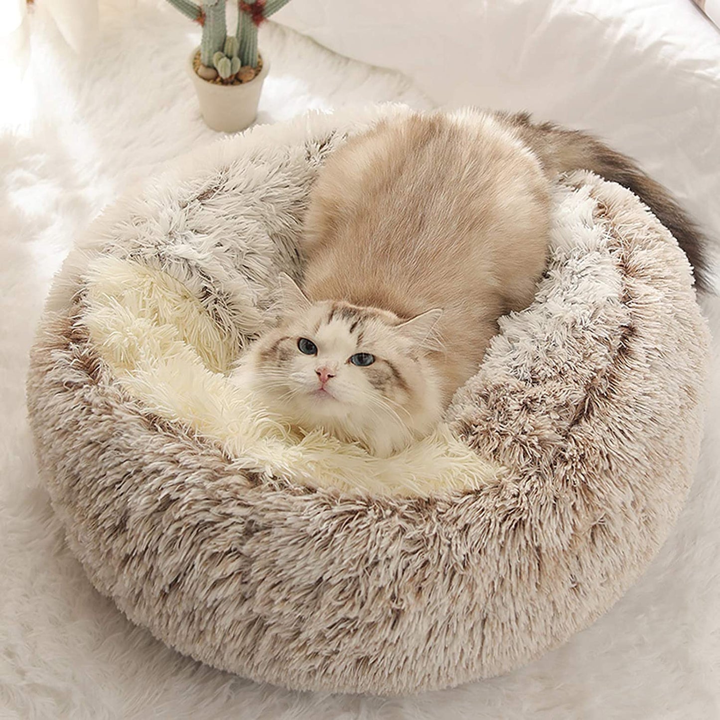 Luxurious Fluffy Hooded Cat & Dog Bed Cave with Hooded Blanket, Up to 6.8kg, 50cm